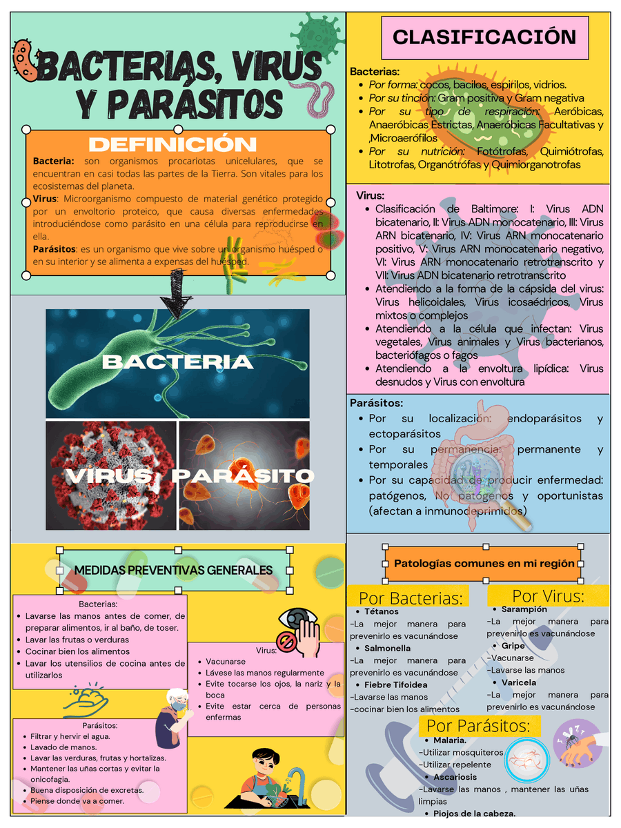 Infografía sobre virus bacterias y parásitos.