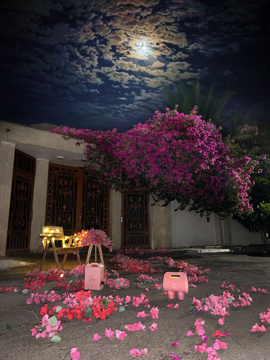 ورد وليل وقمر !