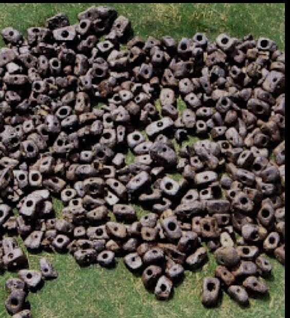 thealbedojourney tweet media