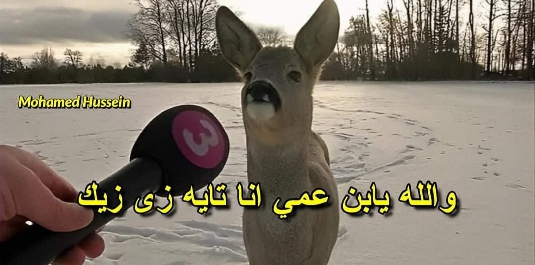 eman_elhariry7's tweet photo. دفعة صيدلة ٢٢ تطالب بظهور اعلانها في موعد محدد
#اعلان_تكليف_دفعه_صيدله22_حركه24
تكليف دفعة ٢٢ حركة ٢٤

#اعلان_تكليف_دفعه_صيدله22_حركه24 https://t.co/ppLXUoTkQA