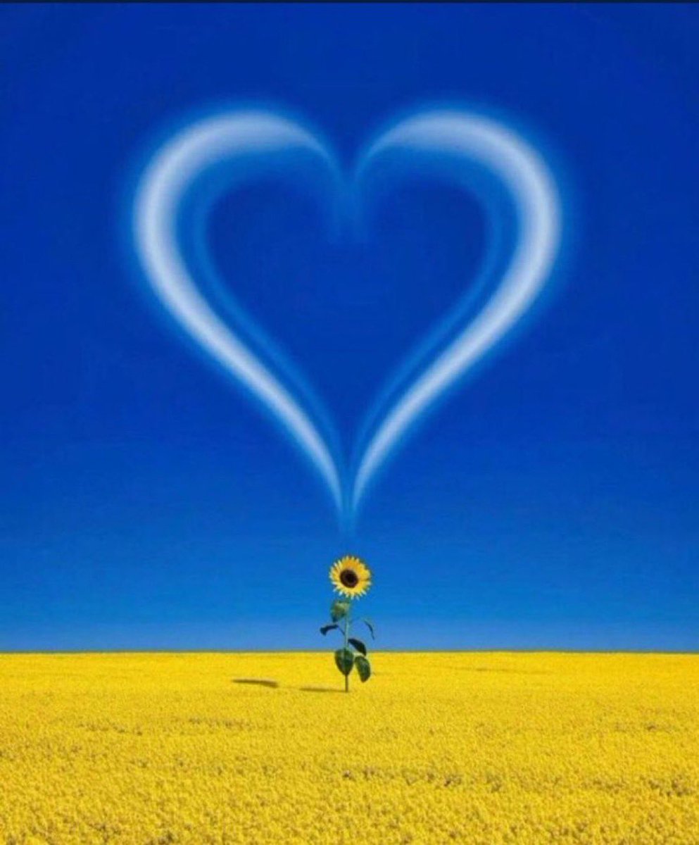 NMAsiaPac's tweet photo. @igorsushko @Mcfarm66 Congratulations Ukraine https://t.co/08c3TBl5wc