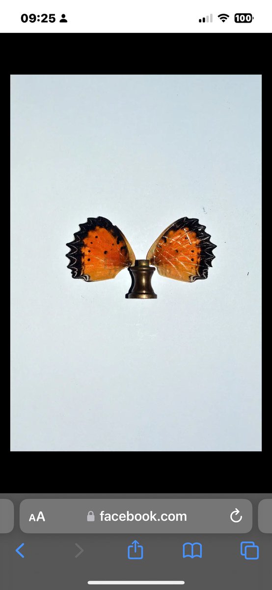 I created these years ago #blastfromthepast sadly no longer in existence (all died from natural causes!!)