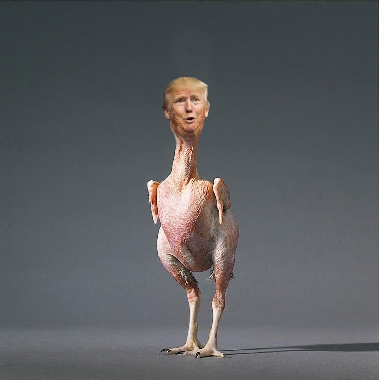 Is Donald Trump too chicken to debate Kamala Harris? 

YES or NO?

#TrumpIsACoward