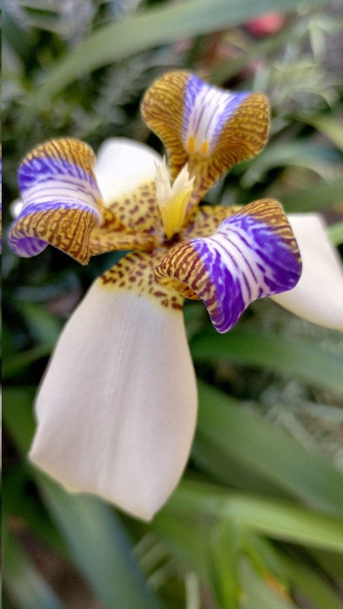 RinaldoCoelho tweet media