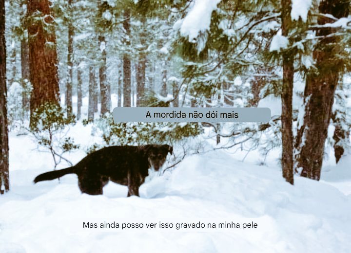 cicatrizes não somem...