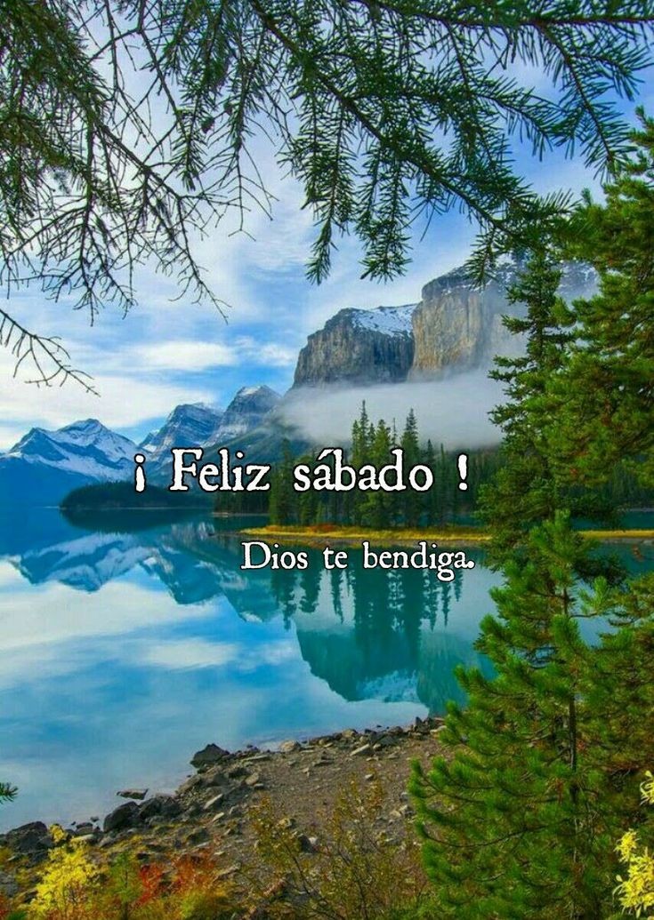 Gladys Nohemi (@ss_gladys) on Twitter photo <a href="/LMHH/">Loren M Hernandez H.</a> <a href="/MensajesLuz/">Mensajesluz🕉</a> <a href="/EmelindaPicadoG/">Emelinda Picado Godí</a> <a href="/RosariodelCdeV1/">Rosario del C de Vasquez</a> <a href="/ArlindoFerreir4/">Arlindo Ferreira</a> <a href="/AnidemPato/">pato lucas</a> <a href="/MAGLORIAVILLEG1/">MA.GLORIA VILLEGAS DURAN</a> <a href="/Edward733/">ஜ۩ღEdward Simღ۩ஜ 심상갑</a> <a href="/norita3329/">Nora....</a> <a href="/LopezyValiente/">Toñi Valiente. ® ™</a> <a href="/MIBramajo/">Maria Ines Bramajo, Feliz 2023...❤️🇦🇷💙</a> <a href="/AELHUZ/">ALMA, EL PODER DE LA ORACION</a> <a href="/alex1869126097/">alex18_AMT</a> <a href="/JLContrerasArt/">Jorge Contreras Art</a> <a href="/d_mhg/">Maria H. G.</a> <a href="/hada_protectora/">♥♥Hada Protectora♥♥</a> @JacquelinSnch13 <a href="/bernardo_98364/">Sawamura en la red</a> <a href="/esedonluis64/">Luis Peña</a> <a href="/latiatt/">María Teresita</a> <a href="/lepetitportcord/">le petit port cordon</a> <a href="/sanjay29599124/">Sanjay Tiwari Azad</a> <a href="/ahinamendez/">ahinamendez DM 🚫</a> <a href="/NievesAsensi/">Nieves Perez asensi</a> <a href="/Gladis_Ag/">Gla!</a> <a href="/EfrainBrreraAlv/">Efraín Barrera A.</a> <a href="/pgnora/">Nora Piña Ghazzaoui</a> <a href="/hildamarcano39/">hillda marcano</a> <a href="/d_mhg2014/">María H. G.</a> <a href="/CitraroTorres/">Mariella Torres Citraro</a> <a href="/saulastam/">Sastam_25</a> <a href="/XimPete/">Familia Olguin Pobl</a> <a href="/Nelidarojasb3/">Nelidarojasb</a> <a href="/PulidoSolange/">Ningún Lugar está Lejos. 🇻🇪</a> <a href="/anysogo/">ANA MARÍA SOGO</a> <a href="/PONCHOAGOPLA/">Poncho Gómez-Plaza</a> <a href="/OmairaCorreo/">Omaira De Cobo</a> <a href="/Anauj_maces/">Caro Macias</a> <a href="/steligarcia/">Sonia Garcia</a> <a href="/kitty_sanrio1/">Lic Laura Perez</a> <a href="/mamaruza78/">Mamaruza</a> <a href="/MaryGom31034524/">Mary Gomez</a> <a href="/igsaGsanchez/">igsa sanchez</a> <a href="/GomezLuisE/">Luis Enrique Gómez Osorio</a> <a href="/FermnEstevez2/">Fermín. Estevez.</a> <a href="/AGMRedMylene/">🍒🥀🦋simply_Red🦋🥀🍒</a> <a href="/CarlosA98725897/">Carlos Aguilar</a> <a href="/FERMN01924143/">FERMÍN</a> <a href="/Yleque/">Yleana Quevedo</a> <a href="/UleaJesus/">María Jesús Ulea</a> Amén bendiciones para todos buenas tardes buen sábado abrazo amigos queridos, muchas gracias mi querida Loren 🙏❤️😘😘🌹 <a href="/LMHH/">Loren M Hernandez H.</a> <a href="/MensajesLuz/">Mensajesluz🕉</a> <a href="/EmelindaPicadoG/">Emelinda Picado Godí</a> <a href="/RosariodelCdeV1/">Rosario del C de Vasquez</a> <a href="/ArlindoFerreir4/">Arlindo Ferreira</a> <a href="/AnidemPato/">pato lucas</a> <a href="/MAGLORIAVILLEG1/">MA.GLORIA VILLEGAS DURAN</a> <a href="/Edward733/">ஜ۩ღEdward Simღ۩ஜ 심상갑</a> <a href="/norita3329/">Nora....</a> <a href="/LopezyValiente/">Toñi Valiente. ® ™</a> <a href="/MIBramajo/">Maria Ines Bramajo, Feliz 2023...❤️🇦🇷💙</a> <a href="/AELHUZ/">ALMA, EL PODER DE LA ORACION</a> <a href="/alex1869126097/">alex18_AMT</a> <a href="/JLContrerasArt/">Jorge Contreras Art</a> <a href="/d_mhg/">Maria H. G.</a> <a href="/hada_protectora/">♥♥Hada Protectora♥♥</a> @JacquelinSnch13 <a href="/bernardo_98364/">Sawamura en la red</a> <a href="/esedonluis64/">Luis Peña</a> <a href="/latiatt/">María Teresita</a> <a href="/lepetitportcord/">le petit port cordon</a> <a href="/sanjay29599124/">Sanjay Tiwari Azad</a> <a href="/ahinamendez/">ahinamendez DM 🚫</a> <a href="/NievesAsensi/">Nieves Perez asensi</a> <a href="/Gladis_Ag/">Gla!</a> <a href="/EfrainBrreraAlv/">Efraín Barrera A.</a> <a href="/pgnora/">Nora Piña Ghazzaoui</a> <a href="/hildamarcano39/">hillda marcano</a> <a href="/d_mhg2014/">María H. G.</a> <a href="/CitraroTorres/">Mariella Torres Citraro</a> <a href="/saulastam/">Sastam_25</a> <a href="/XimPete/">Familia Olguin Pobl</a> <a href="/Nelidarojasb3/">Nelidarojasb</a> <a href="/PulidoSolange/">Ningún Lugar está Lejos. 🇻🇪</a> <a href="/anysogo/">ANA MARÍA SOGO</a> <a href="/PONCHOAGOPLA/">Poncho Gómez-Plaza</a> <a href="/OmairaCorreo/">Omaira De Cobo</a> <a href="/Anauj_maces/">Caro Macias</a> <a href="/steligarcia/">Sonia Garcia</a> <a href="/kitty_sanrio1/">Lic Laura Perez</a> <a href="/mamaruza78/">Mamaruza</a> <a href="/MaryGom31034524/">Mary Gomez</a> <a href="/igsaGsanchez/">igsa sanchez</a> <a href="/GomezLuisE/">Luis Enrique Gómez Osorio</a> <a href="/FermnEstevez2/">Fermín. Estevez.</a> <a href="/AGMRedMylene/">🍒🥀🦋simply_Red🦋🥀🍒</a> <a href="/CarlosA98725897/">Carlos Aguilar</a> <a href="/FERMN01924143/">FERMÍN</a> <a href="/Yleque/">Yleana Quevedo</a> <a href="/UleaJesus/">María Jesús Ulea</a> Amén bendiciones para todos buenas tardes buen sábado abrazo amigos queridos, muchas gracias mi querida Loren 🙏❤️😘😘🌹