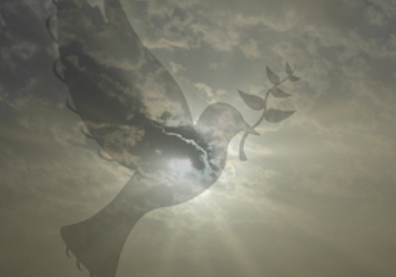 NativeSenses's tweet photo. Who are the Essenes? What do they believe in? https://t.co/drnZnUmnAK 

#spiritualawakening #Spirit #Believe_in_You #prayer https://t.co/hEGMm5AG3k