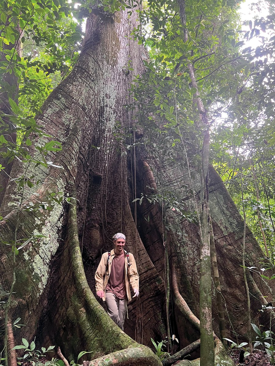 Blaine Martin of #ASMSA Class of 2020 was selected to receive the NSF Graduate Research Fellowship. It will allow him to continue his tropical research in Panama while working on his Ph.D. program this fall. Read more at asmsa.me/martin24. #DolphinPride