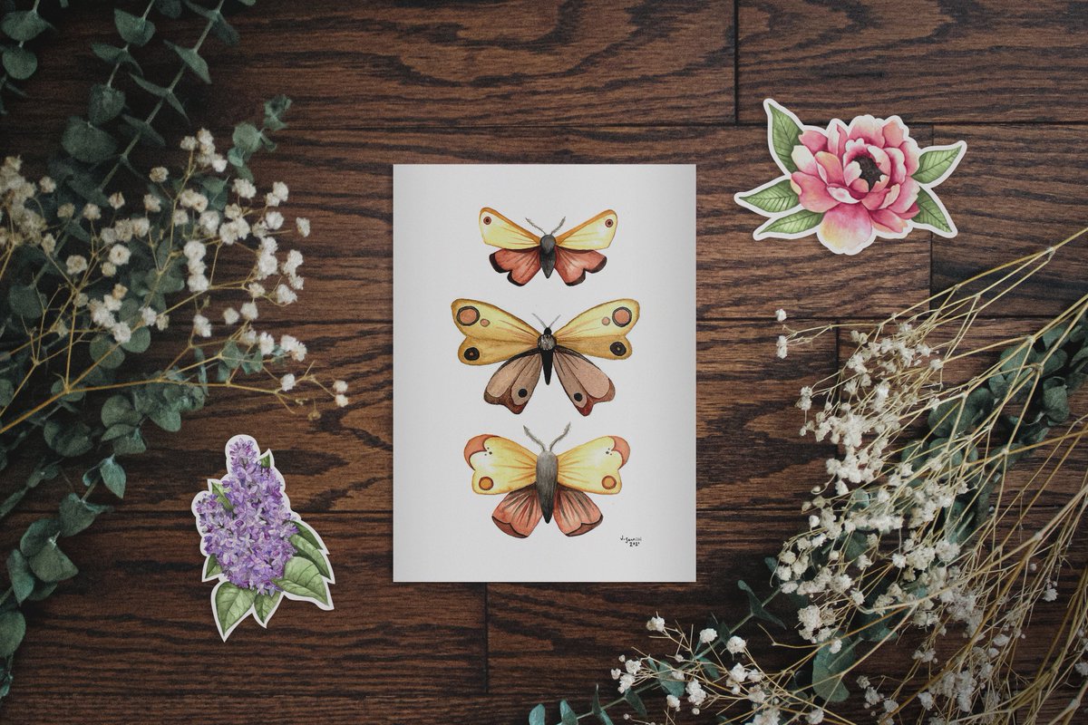 studiojulep's tweet photo. @ThinkDesign_Ed Hey! I'm Studio Julep and I am a watercolor artist and illustrator. 

I have prints, stickers, and mystery mailers available in my online shop! Please check them out 🖤✨

https://t.co/zsYSAtr9gl https://t.co/pryDwOuwdf