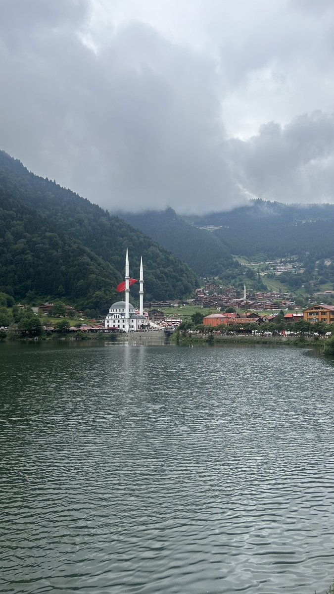 muhammed ali tweet media