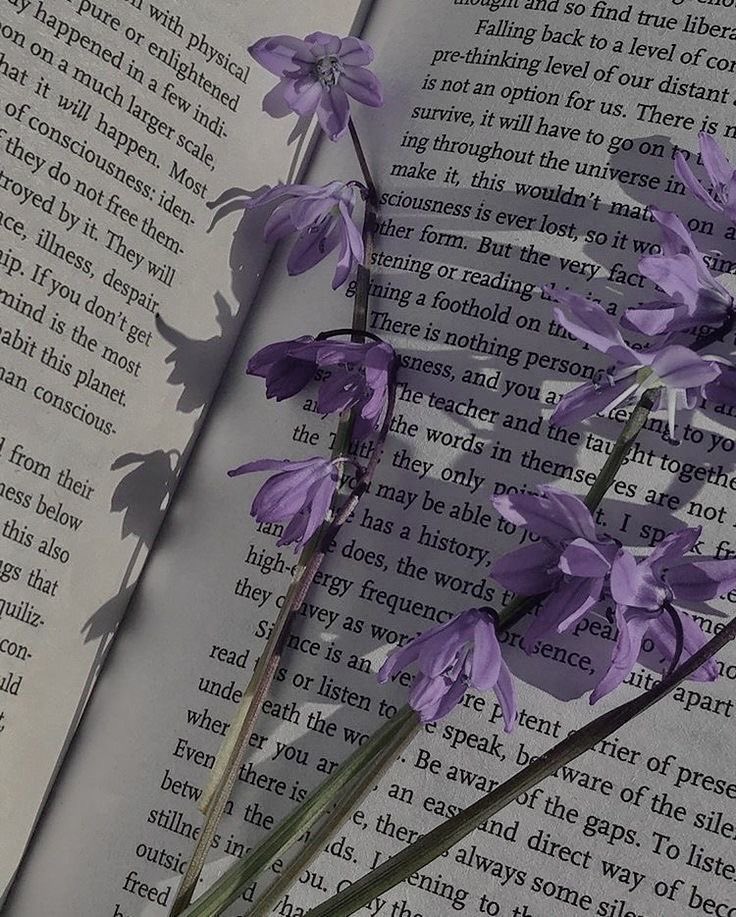 marftbooks's tweet photo. hi, i’m not new but i’m looking for new #booktwt moots! ❤︎

✰ cr: The Lies We Steal (The Hollow Boys 1) ✰

— she/her, 24.
— romance, dark romance.
— fav books: Perfectly Imperfect series, Bride, Archer’s Voice, Crave series and Legacy of Gods series

♡/↻ to be moots! https://t.co/ysezTTvT0j