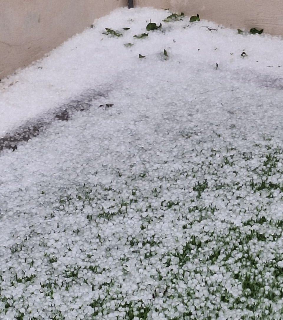 saguifeifa's tweet photo. El granizo en Heredia! 😱 https://t.co/4Xumy68R1z
