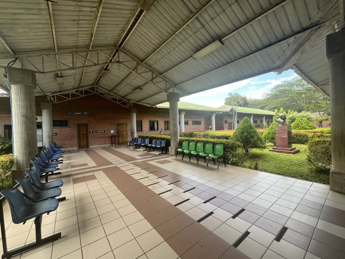 おーしま tweet media