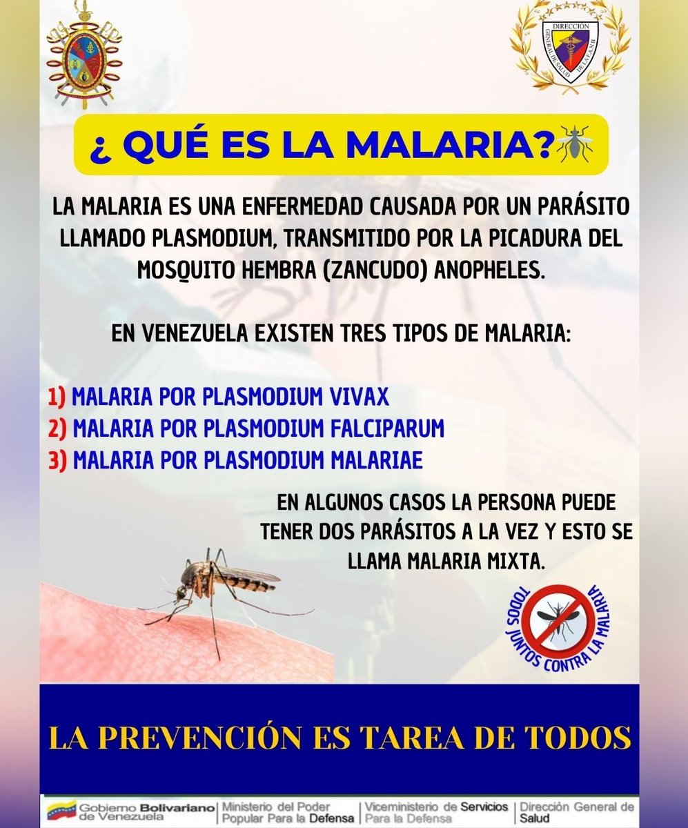 DigesaludFANB's tweet photo. Campaña contra La Malaria o Paludismo. Conoce Cómo se diagnóstica. Recuerda, la prevención es tarea de todos. 

#digesaludfanbcuidatusalud https://t.co/idoVHgGVDX