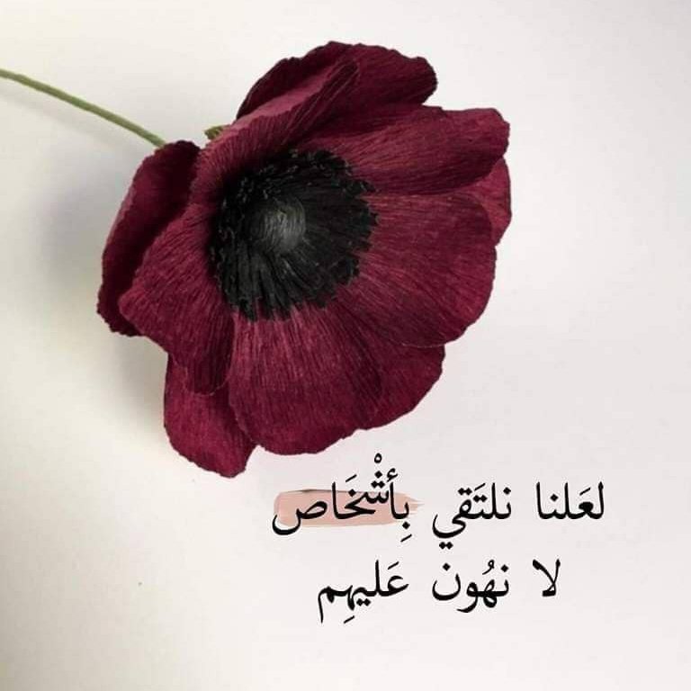 رسائل ماجستير※عروض بوربوينت-دكتوراة ورقة علمية tweet media