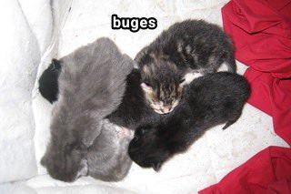 keyedestiny's tweet image. i found them