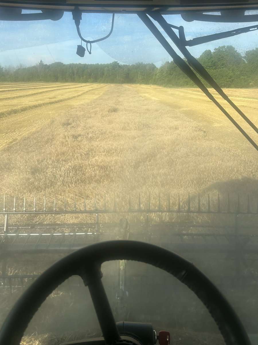Last pass of tassel tickling this morning and last pass of wheat harvest 24 tonight with <a href="/mikepearson89/">Mike pearson</a> #Ontag