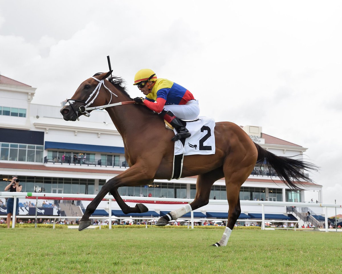 Victor Barboza Jr (@victorebarboza) on Twitter photo Majestic Venezuela
Miss Gracie Stakes $95,000 • Turf
Jockey: Emisael Jaramillo
Trainer: Victor Barboza, Jr.
Owner: Orlyana Farm
#RoyalPalmMeet #GulfstreamPark Saturday, August 3, 2024 #TeamBarbozaJr
📸 <a href="/coglianesephoto/">Coglianese Photos</a> • Lauren King • <a href="/RyanFromChicago/">Ryan Thompson</a> Majestic Venezuela
Miss Gracie Stakes $95,000 • Turf
Jockey: Emisael Jaramillo
Trainer: Victor Barboza, Jr.
Owner: Orlyana Farm
#RoyalPalmMeet #GulfstreamPark Saturday, August 3, 2024 #TeamBarbozaJr
📸 <a href="/coglianesephoto/">Coglianese Photos</a> • Lauren King • <a href="/RyanFromChicago/">Ryan Thompson</a>