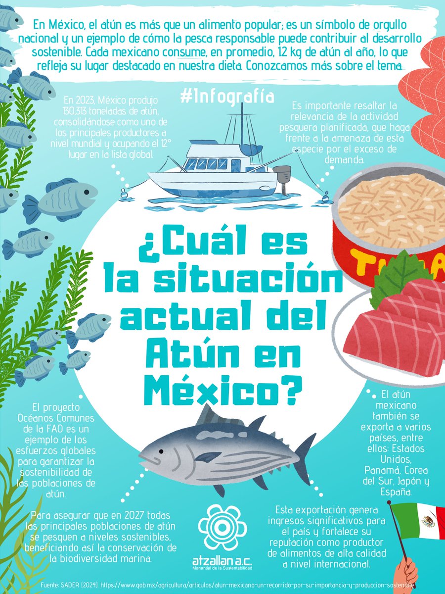 Conoce más acerca de la situación actual del Atún en México.
#Infografía #Atún #AtzallanCultiva 🛥🐟🇲🇽🌏🌊🥗
✅ Para saber más: atzallan.org/atun/
🌐🍃 Conoce más y súmate: atzallan.org