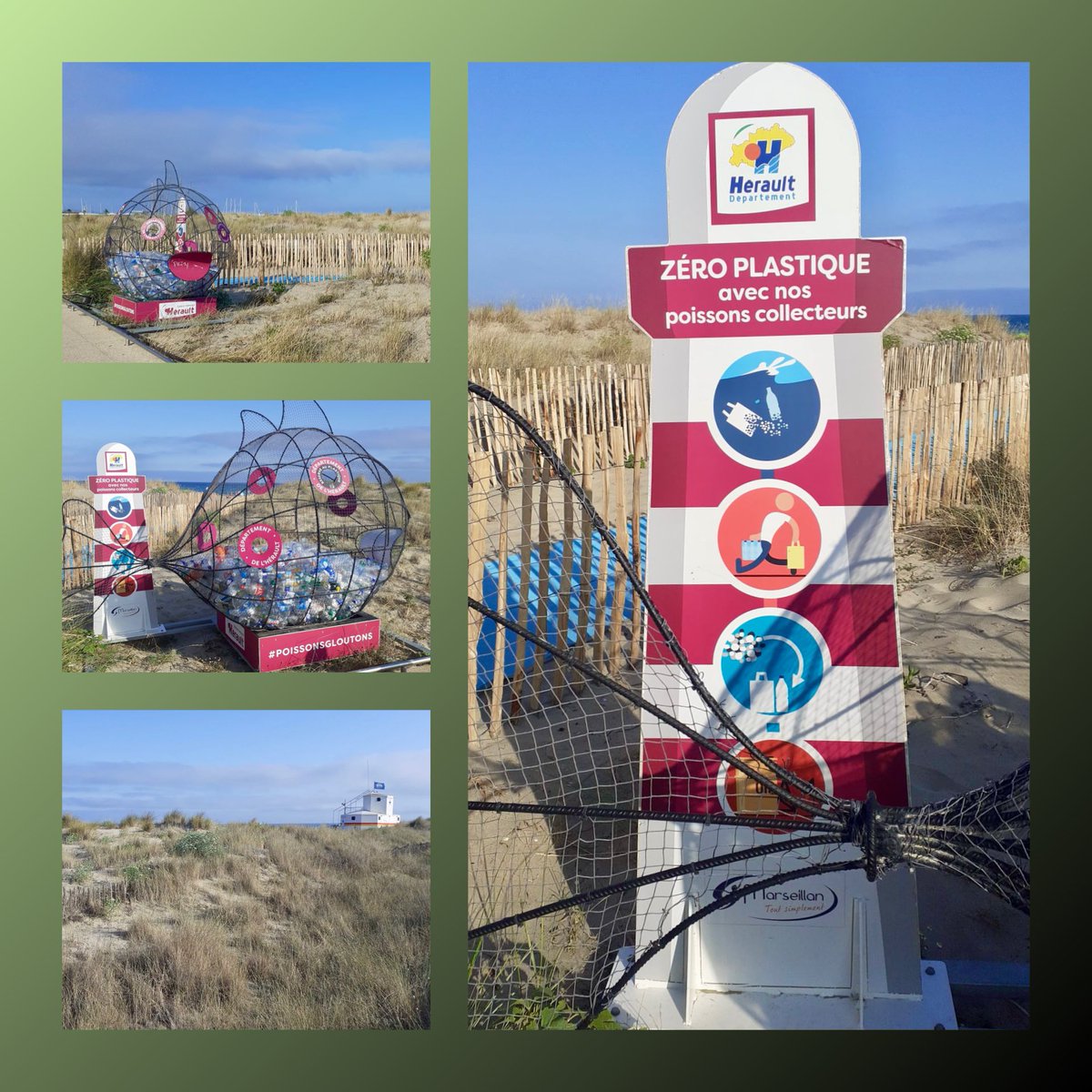 Marseillan-Plage (Hérault) et le poisson glouton pour son initiative zéro plastique. Bravo.

Marseillan-Plage (Hérault) and the gluttonous fish for its zero plastic initiative. Well done. <a href="/VilleMarseillan/">VilledeMarseillan</a> #marseillanplage #wiiklin #wiikliners