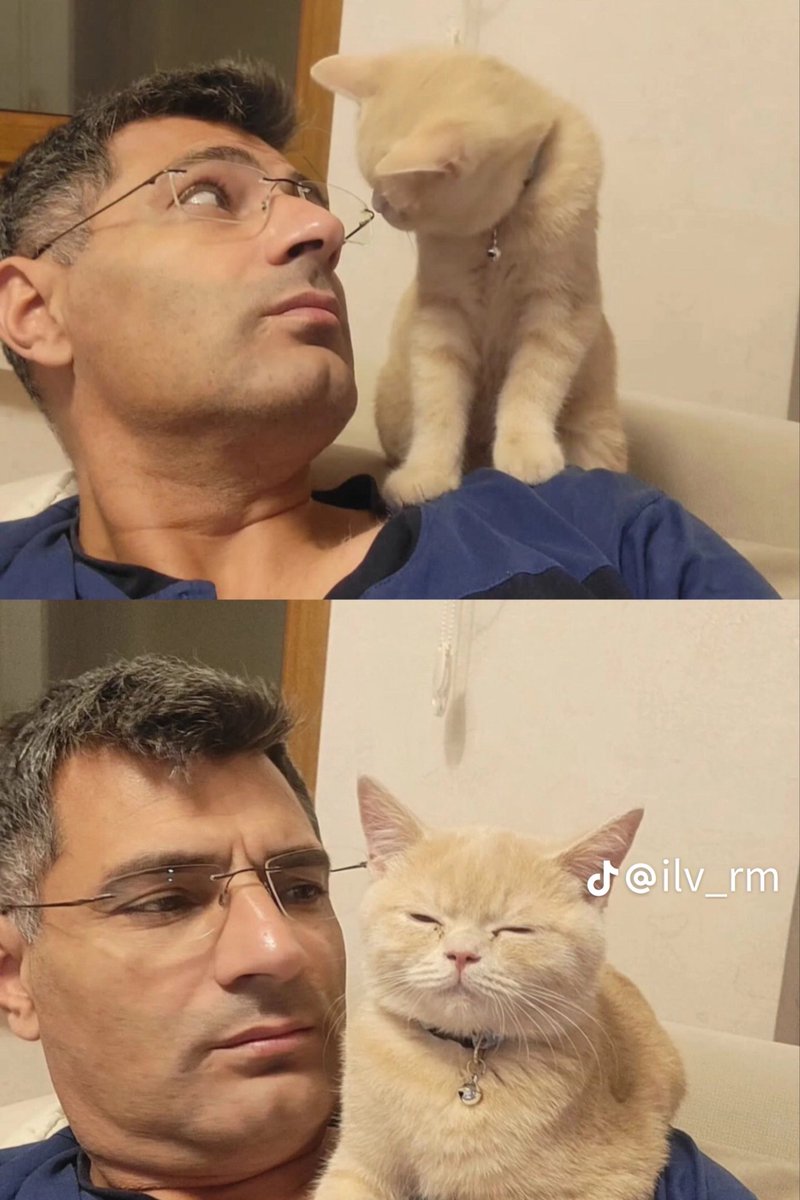 Tamyt01's tweet photo. They're just like Xzavier and his pet cat Snipurr 😂 https://t.co/gEY1LAFLab