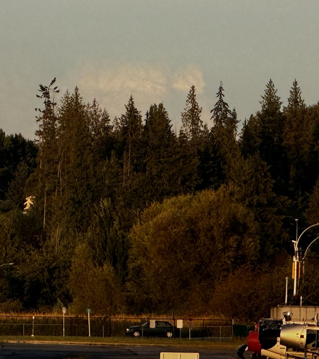 bruceonair's tweet photo. Not as pronounced by the time I took the photo but there was a nice pyrocumulus cloud toward #Chilliwack #HopeBC (seen from the #Langleybc Airport) #bcwilfire #bcwx #bcstorm https://t.co/r6CPSbCXZR