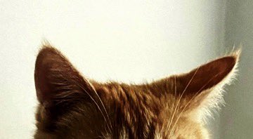 bistappen's tweet image. 