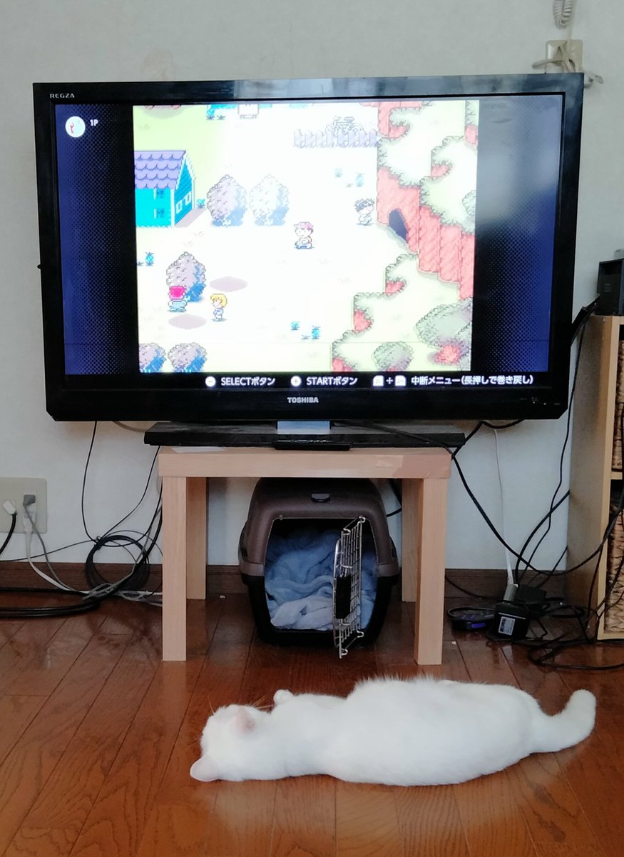 spinspin_Jump's tweet photo. 涼しい部屋で、マザー2と、ねこ

#猫のいる暮らし
#MOTHER2 https://t.co/QxWEXMAwz0