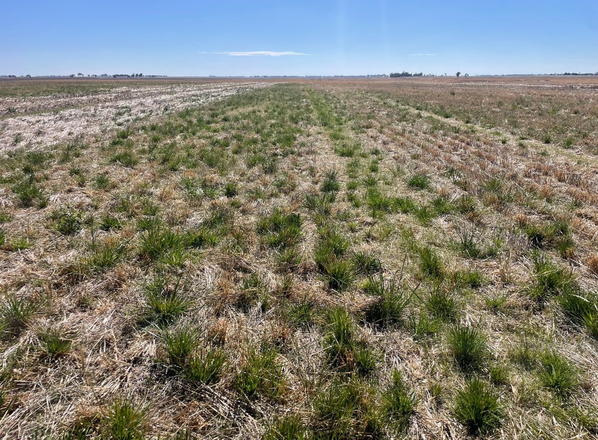 Matt Witney tweet media