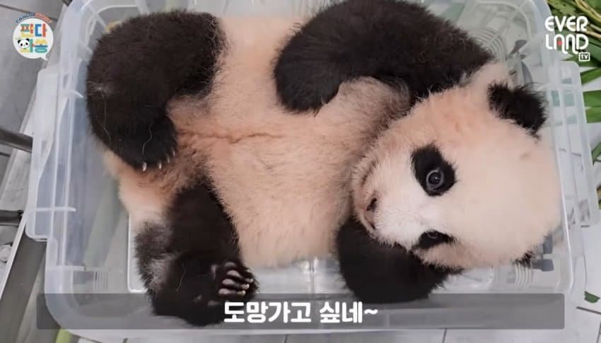 우리집으로 가자