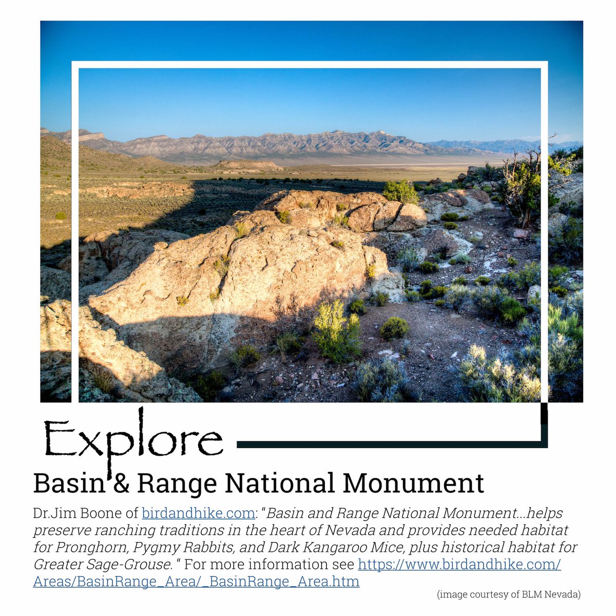 #nationalmonument #publiclands #nevada #blm #basinandrangenationalmonument #basinandrange #nationalpubliclands #friendsofbasinandrange #friendsofbasinandrangenationalmonument