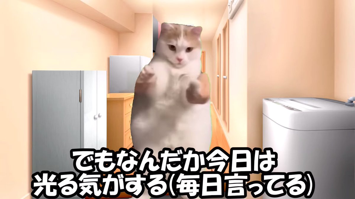 密阿雷打工仔 tweet media