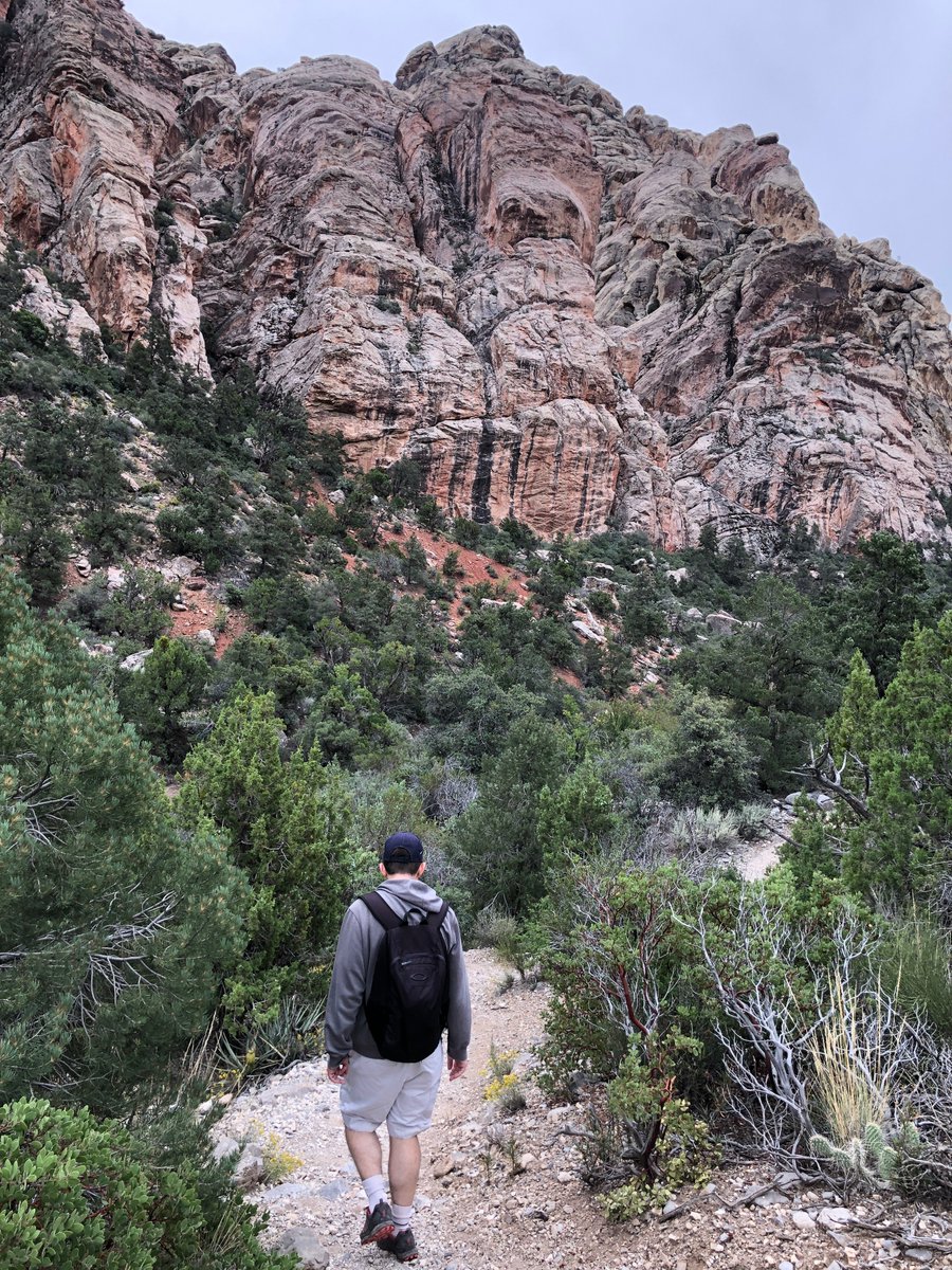 TravelingMooses's tweet photo. Red Rock Canyon 😍

#redrockcanyon #LasVegas  #hiking https://t.co/beFPYNc1lc