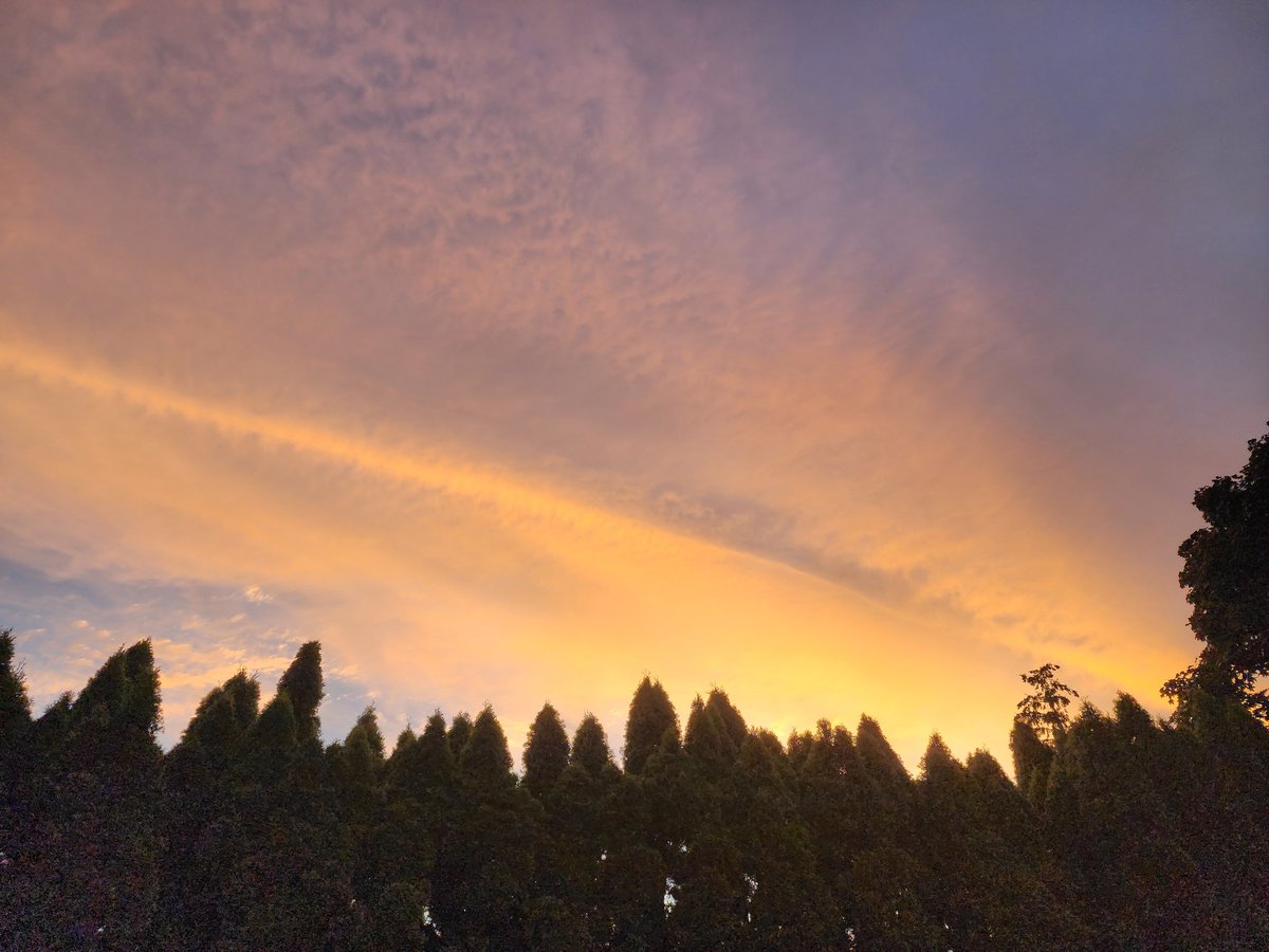 fetalkitty's tweet image. I feel very small