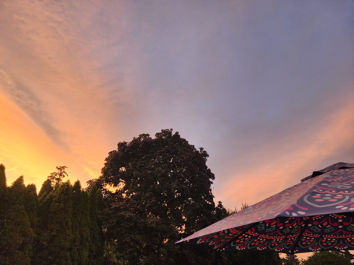 fetalkitty's tweet image. I feel very small