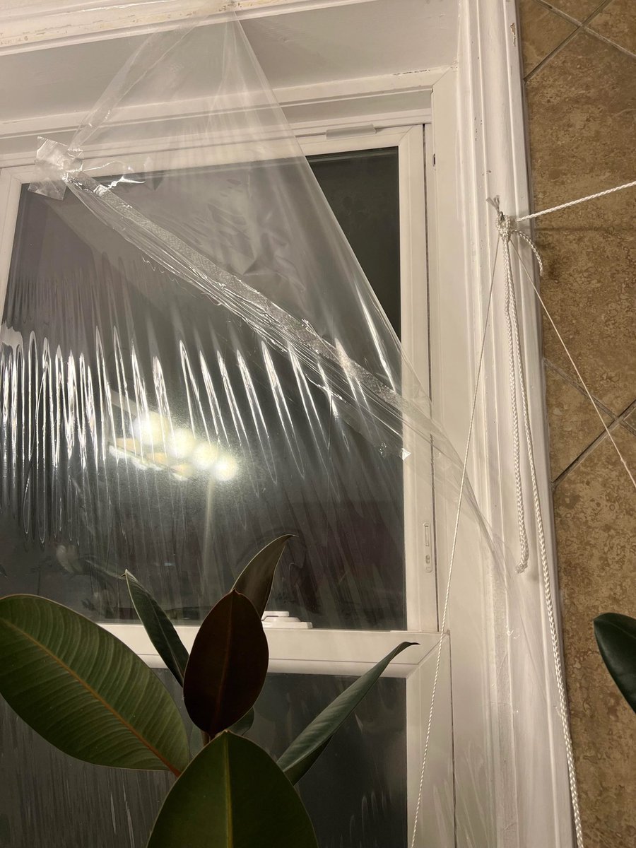 Alice Munro Daily tweet media