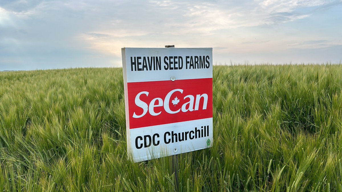 Grover Ryan Heavin tweet media