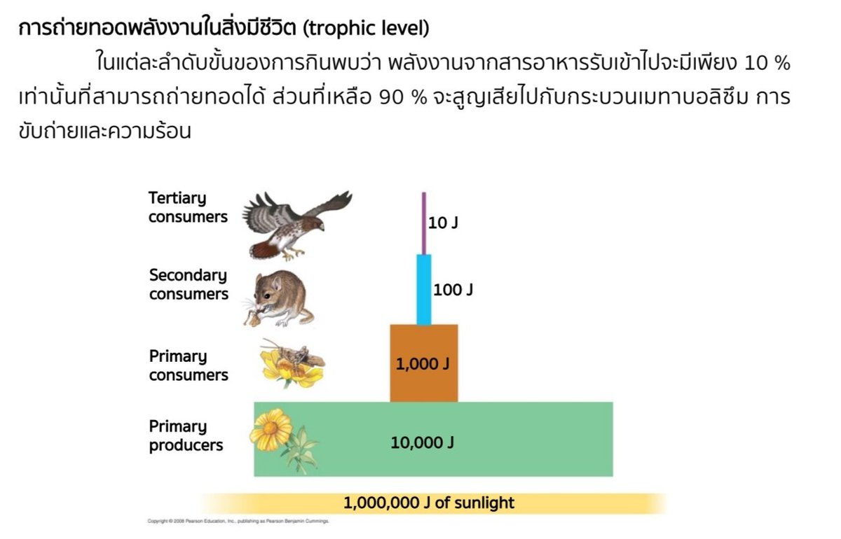 ดร.ต่อ สอนไบโอ tweet media