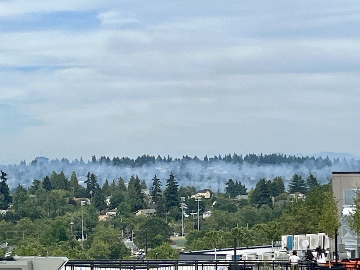 Wolfe321's tweet image. Low, low chem trails over Lake Washington during #Seafair #blueangels
