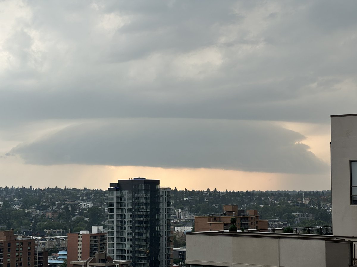 Beth Allan tweet media