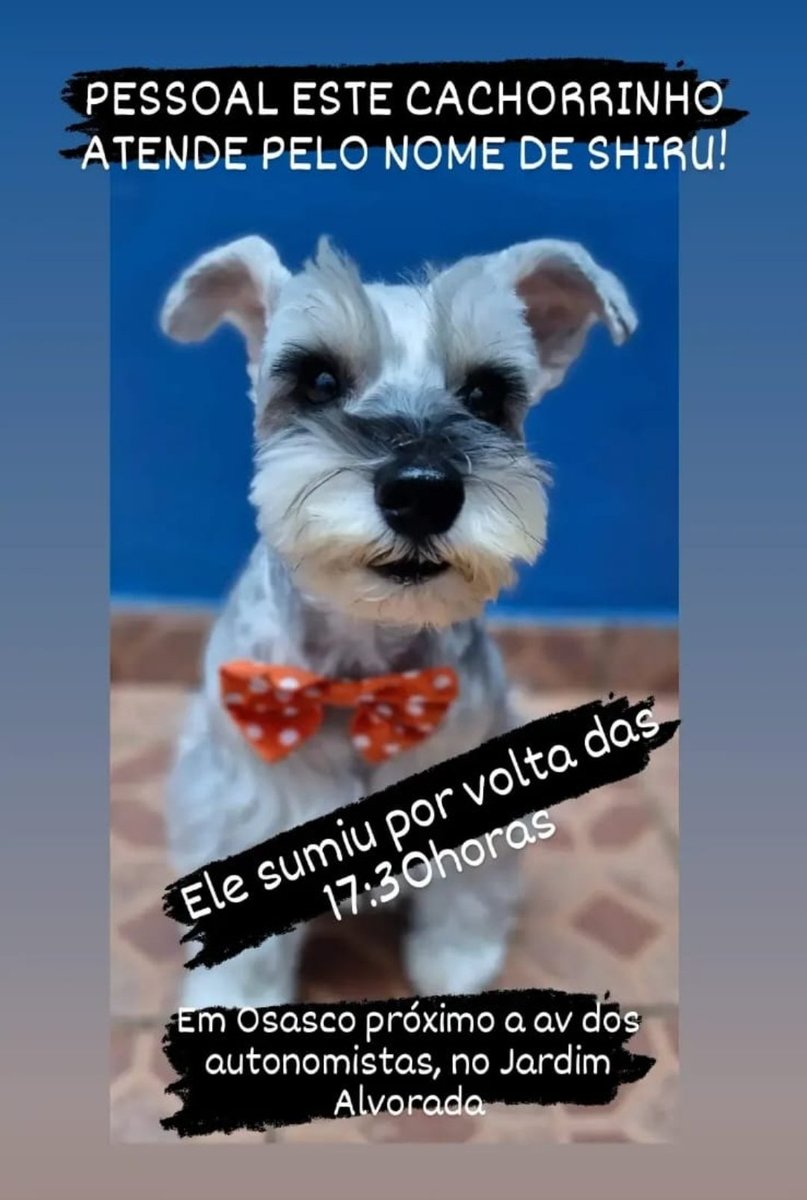 Ei, Osasco!!!!
Alguém viu este doguinho?? Por favor, me ajudem a divulgar. É de uma grande amiga.
Obrigada ❤️