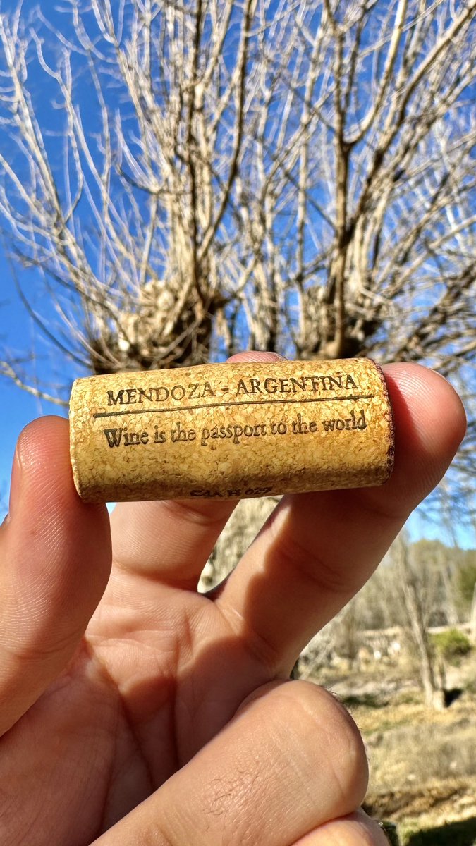agustinsosaales's tweet photo. Menos internet, más Cabernet https://t.co/KslMRRRfdy
