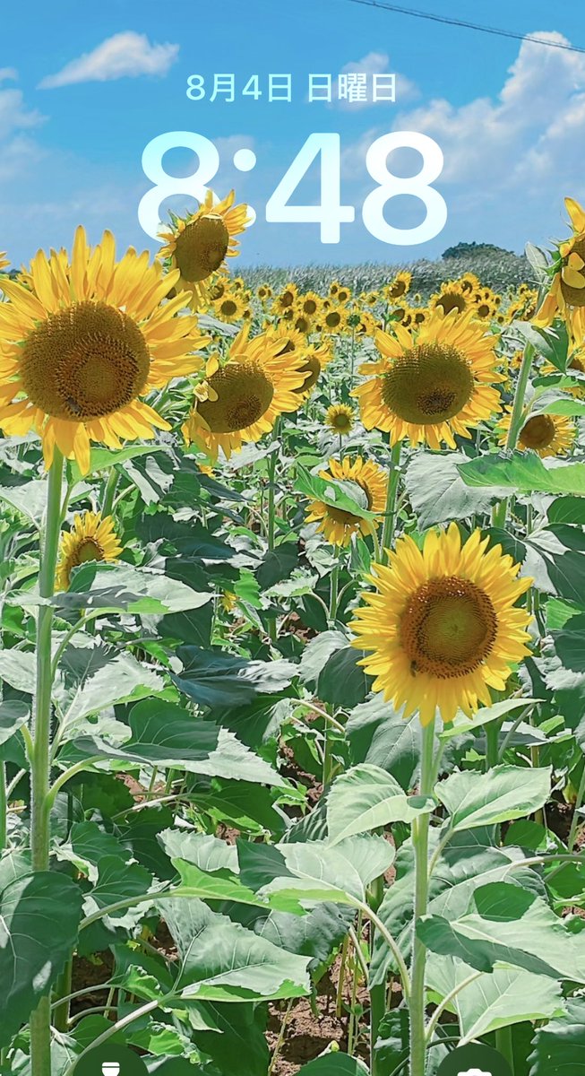 🎍刃渡り2億センチ🎍 tweet media