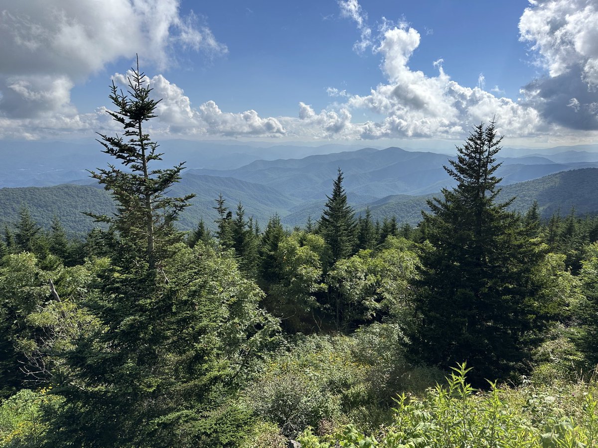 TimSweeneyEpic's tweet image. Clingman’s Dome, Great Smoky Mountains National Park