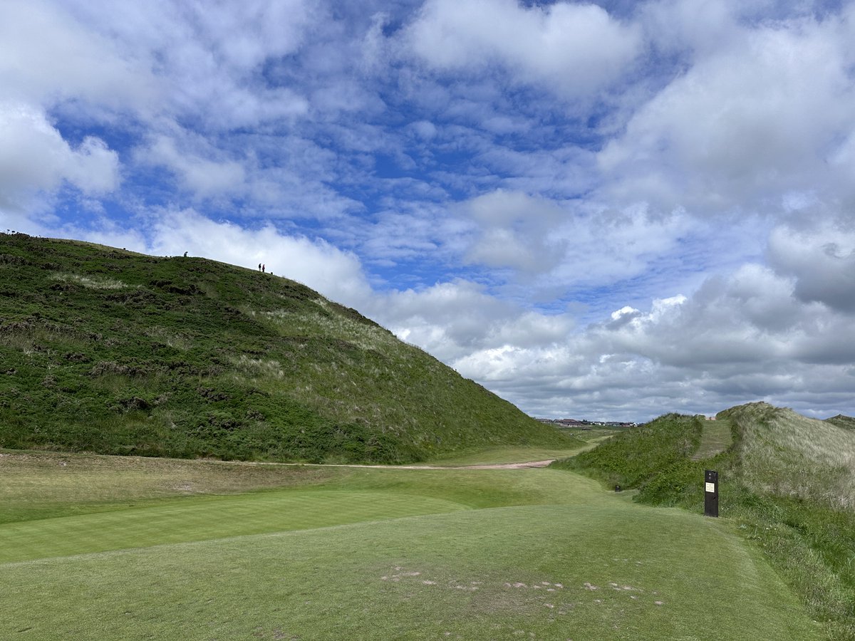 Rick Golfs tweet media