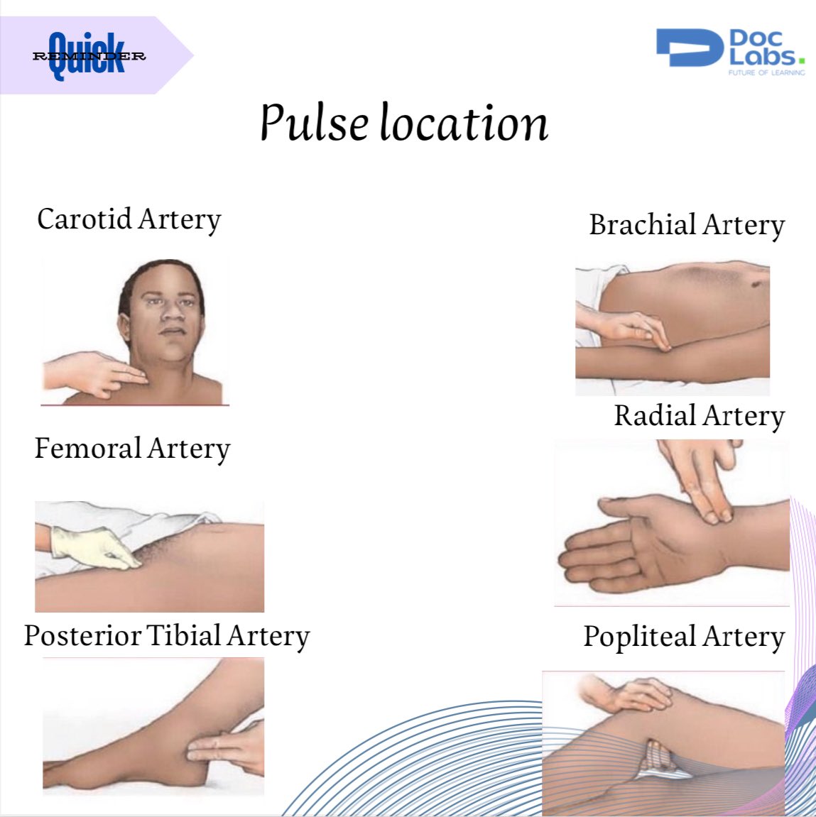 DoclabsN's tweet photo. 📍 Quick reminder 
normal pulse for healthy adults ranges from 60 to 100 beats per minute ! https://t.co/VSuPnCbYJM