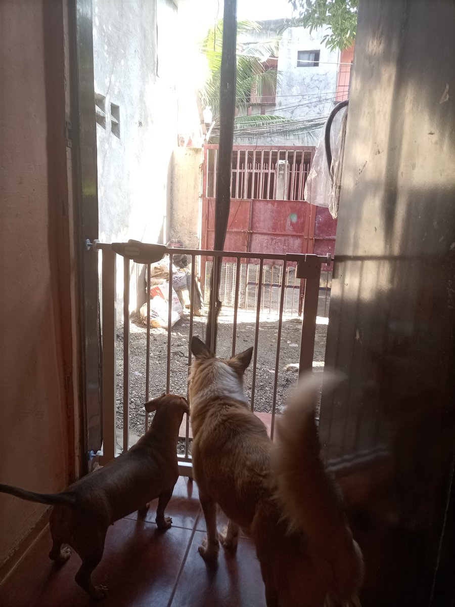 _cylynchewable's tweet image. good morning ✨