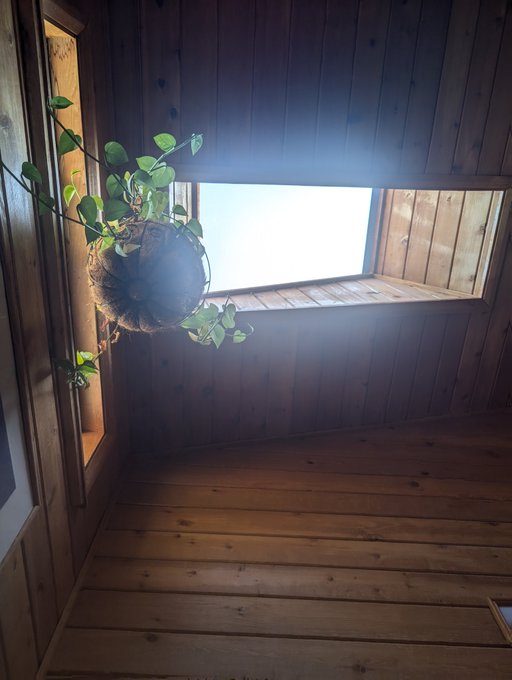 What I see laying in my bath vs what my plant sees lol https://t.co/VknaDXLbfE