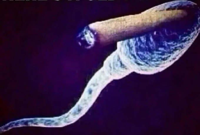 sperm smoking cigarette meme Playing some r5r https://t.co/GMLYxmZnxr Badass sperm smoking - Imgflip