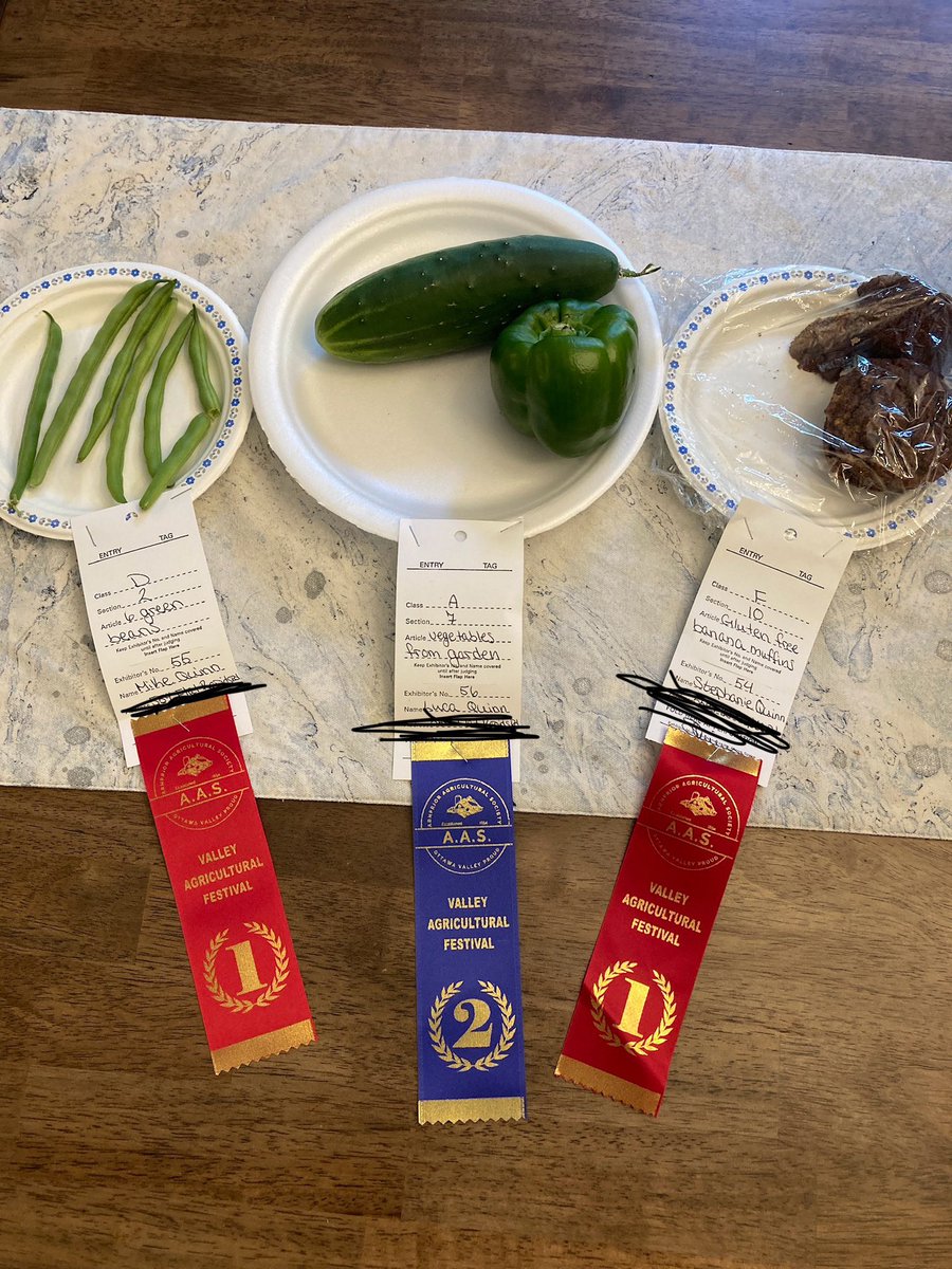 Stephanie Bridel tweet media